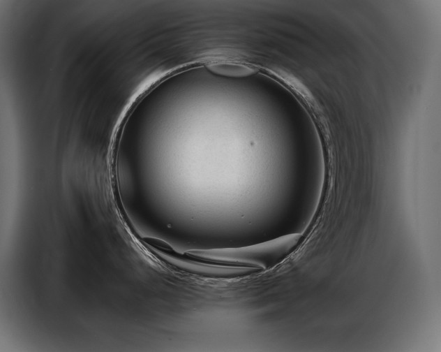 X0000086881248200704161214