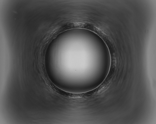 X0000086881249200704161213