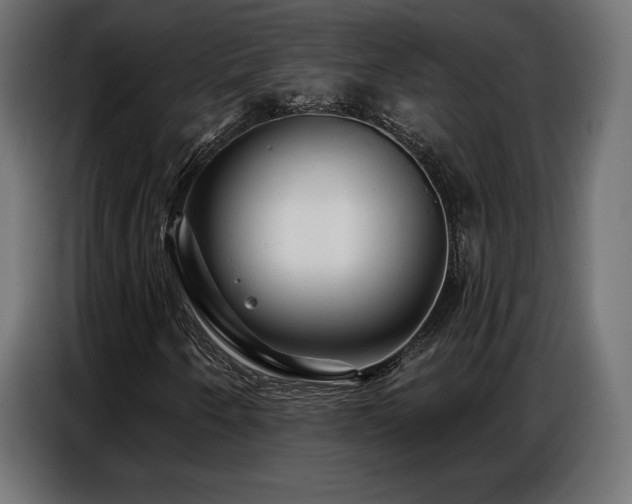 X0000086881250200704161213