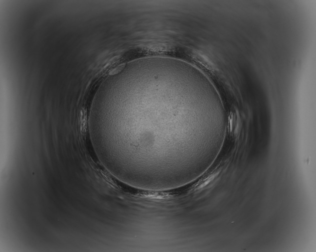 X0000086881251200704161213