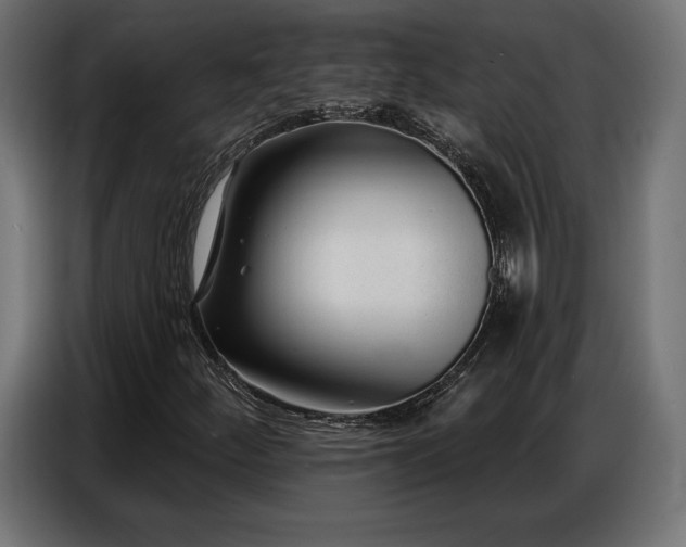 X0000086881252200704161213