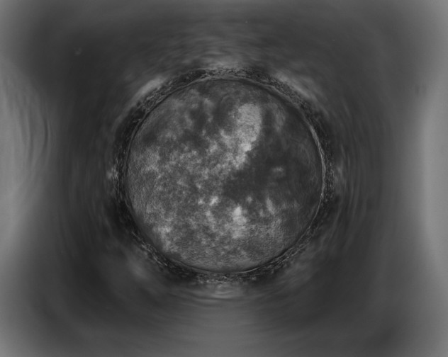 X0000086881254200704161213