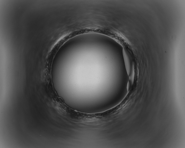 X0000086881256200704161213