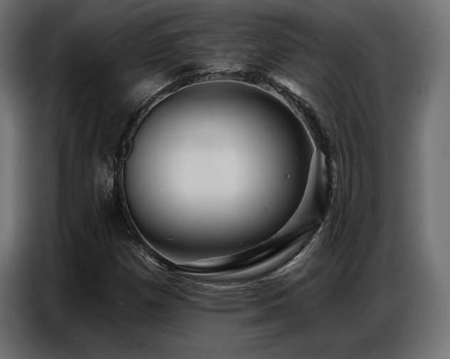 X0000086881257200704161213