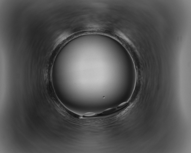 X0000086881259200704161213