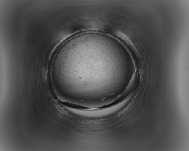 X0000086881260200704161213