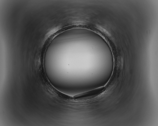 X0000086881261200704161213