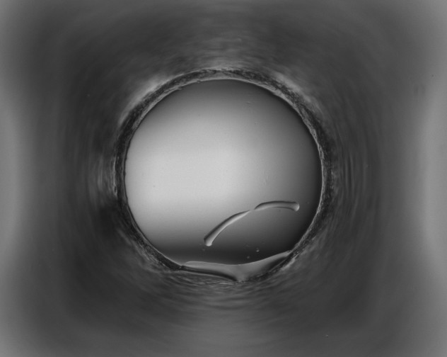 X0000086881262200704161213