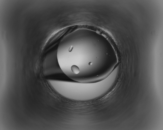 X0000086881263200704161213