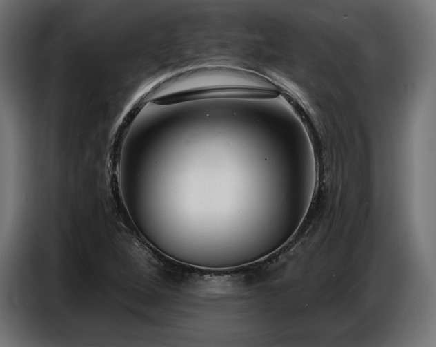 X0000086881264200704161213