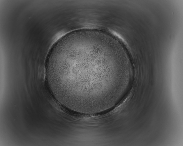 X0000086881267200704161213