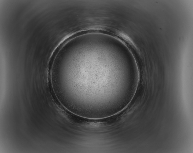 X0000086881268200704161213