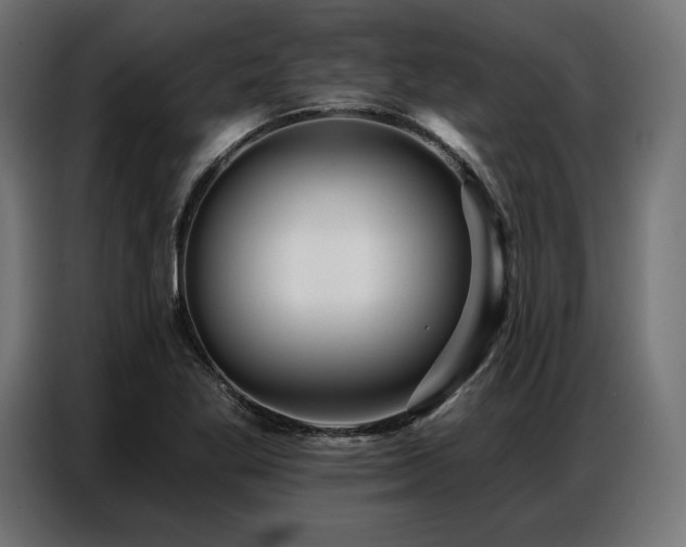 X0000086881269200704161213