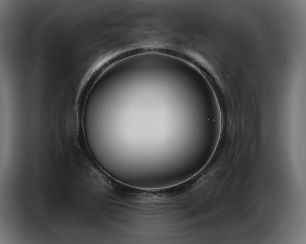 X0000086881270200704161213