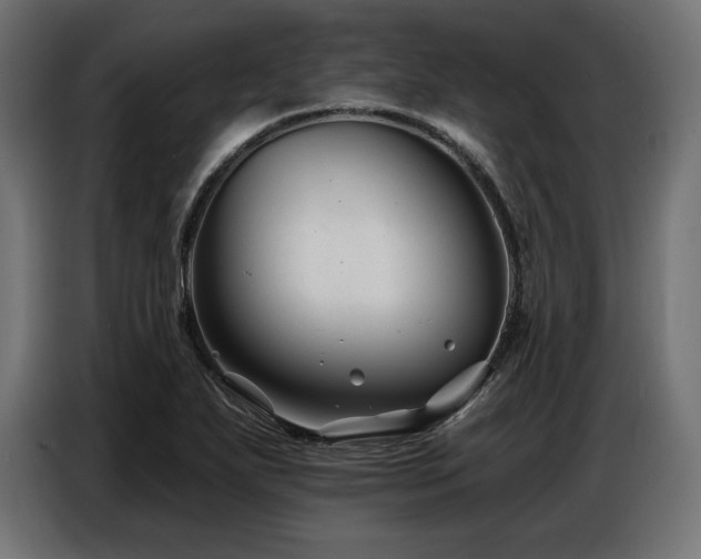 X0000086881271200704161213