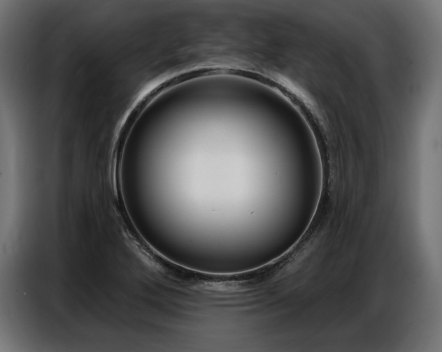 X0000086881272200704161213