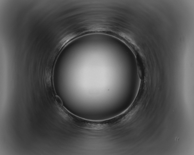 X0000086881273200704161213