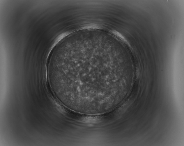 X0000086881274200704161213