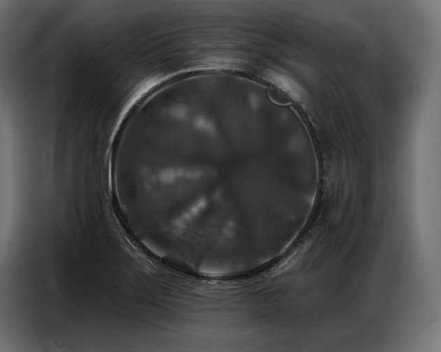 X0000086881275200704161213