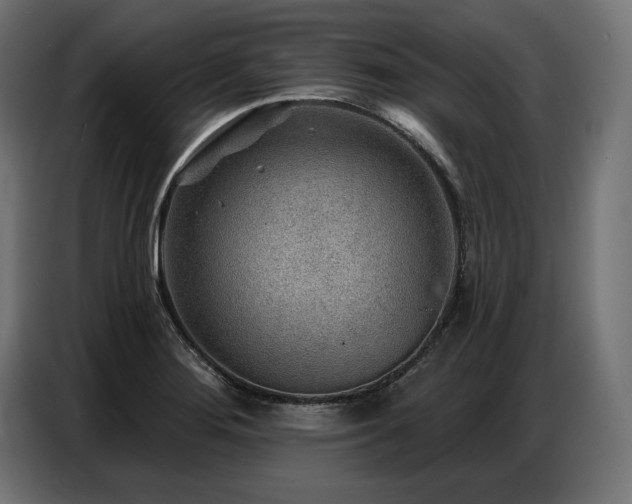 X0000086881276200704161213