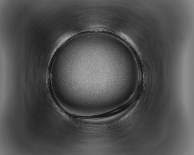 X0000086881277200704161213