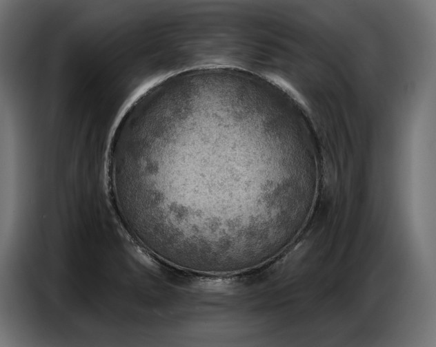 X0000086881278200704161213