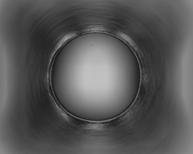 X0000086881282200704161213