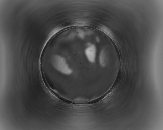 X0000086881283200704161213