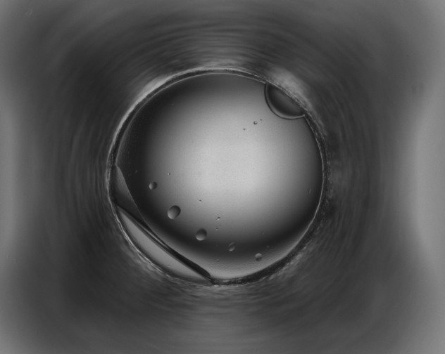 X0000086881284200704161213