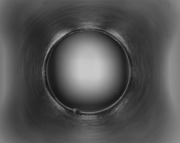 X0000086881285200704161213