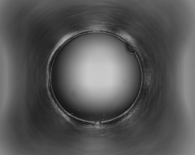 X0000086881286200704161213