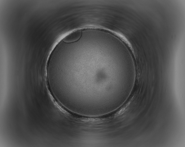 X0000086881287200704161213