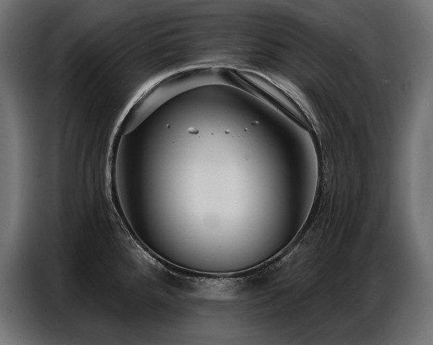 X0000086881288200704161213