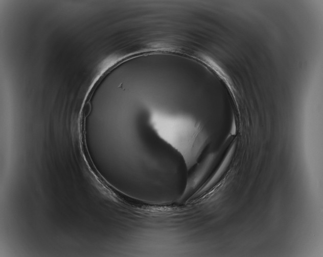 X0000086881291200704161212