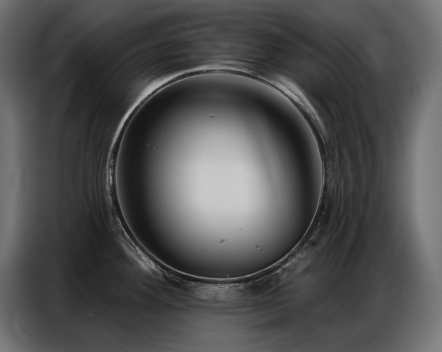 X0000086881292200704161212