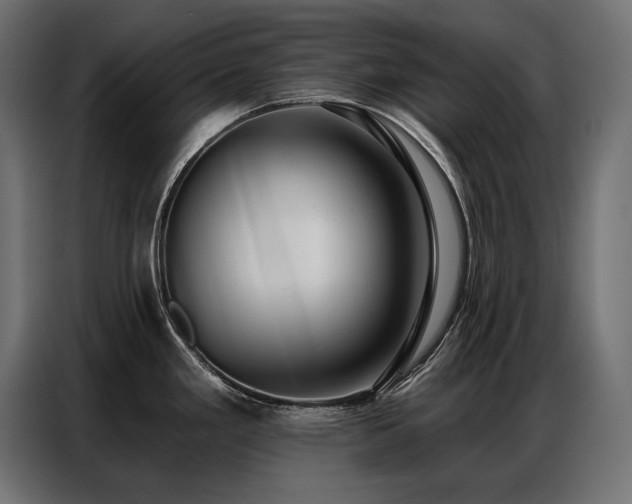 X0000086881293200704161212