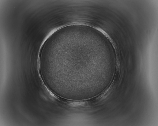 X0000086881294200704161212