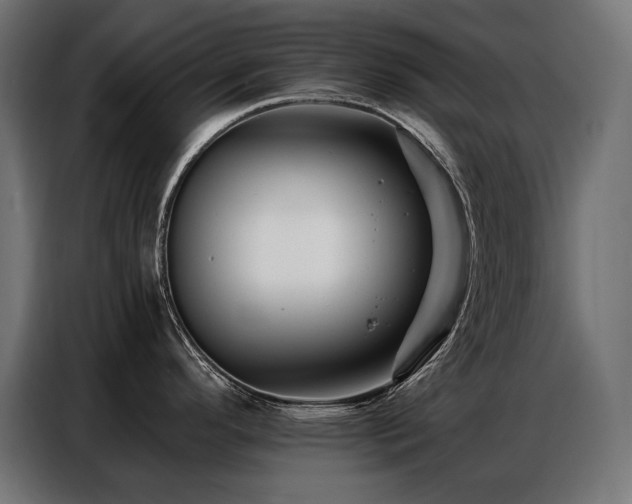 X0000086881296200704161212