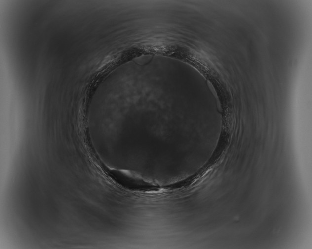 X0000086881297200704161212