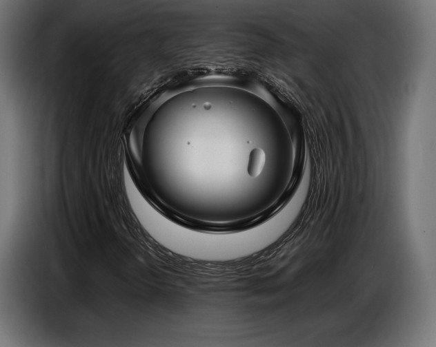 X0000086881298200704161212