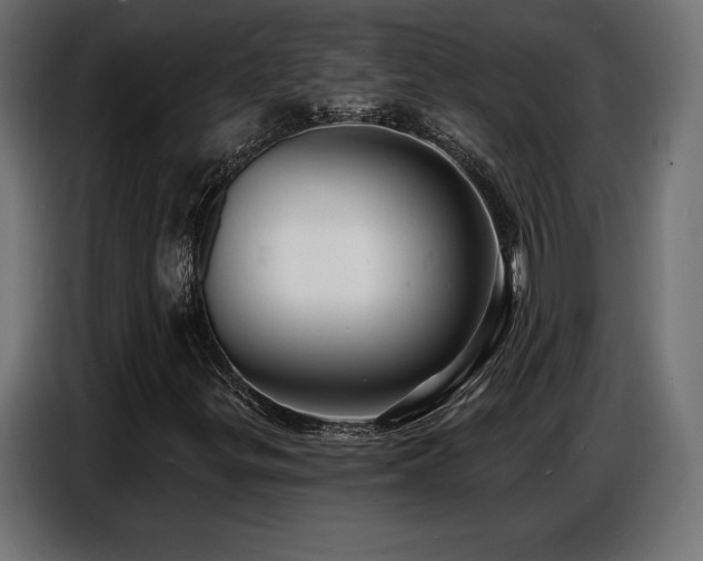 X0000086881299200704161212