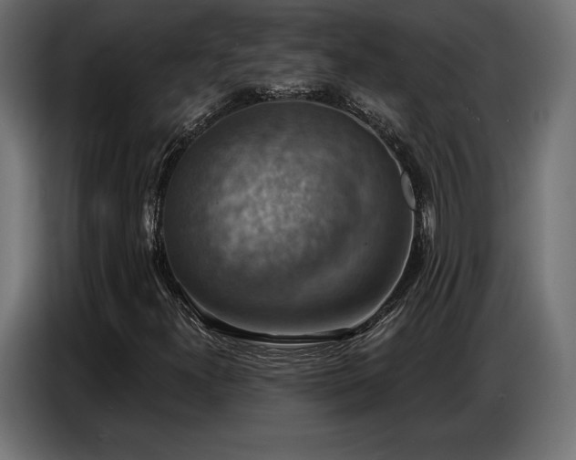 X0000086881300200704161212