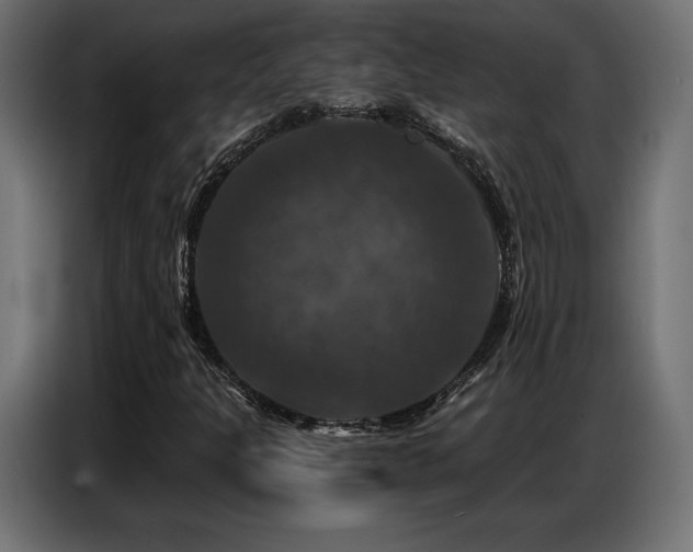 X0000086881301200704161212