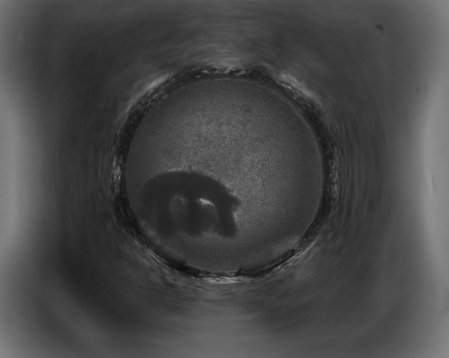 X0000086881302200704161212