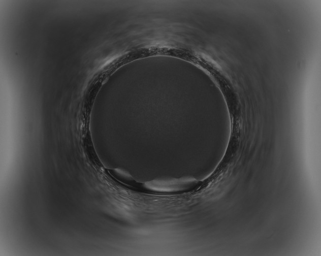 X0000086881303200704161212