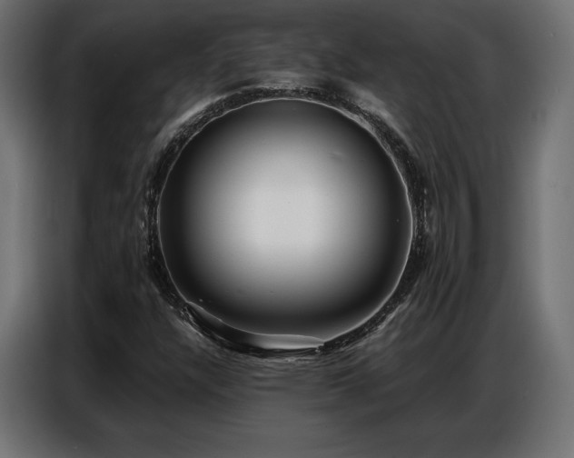 X0000086881304200704161212