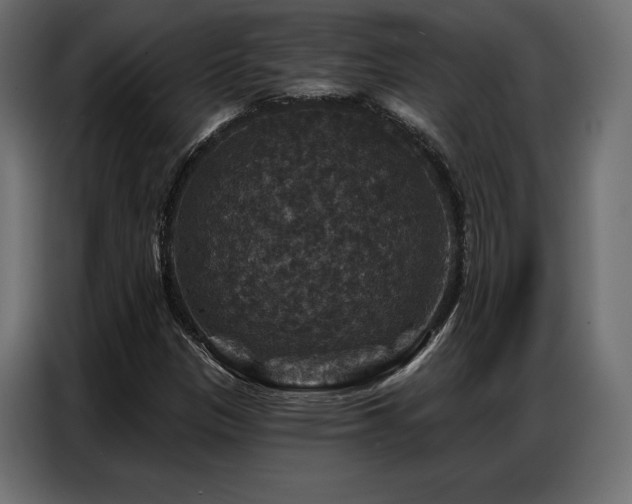 X0000086881305200704161212