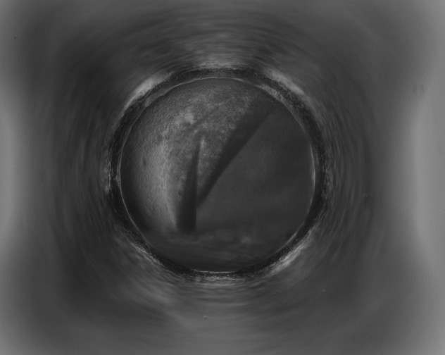 X0000086881306200704161212