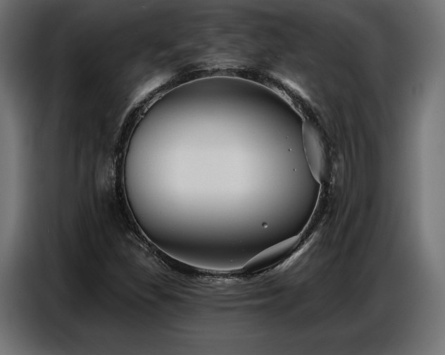 X0000086881309200704161212