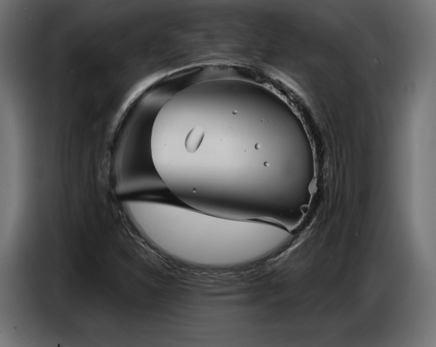 X0000086881310200704161212